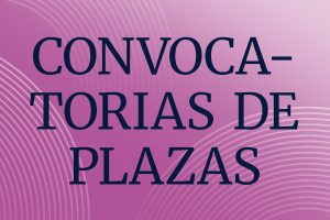 Universidad de Valladolid – Plaza Ayudante